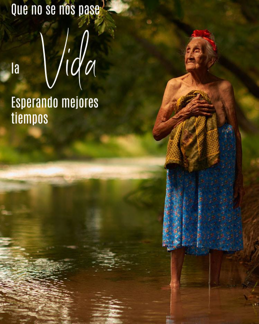 Vision